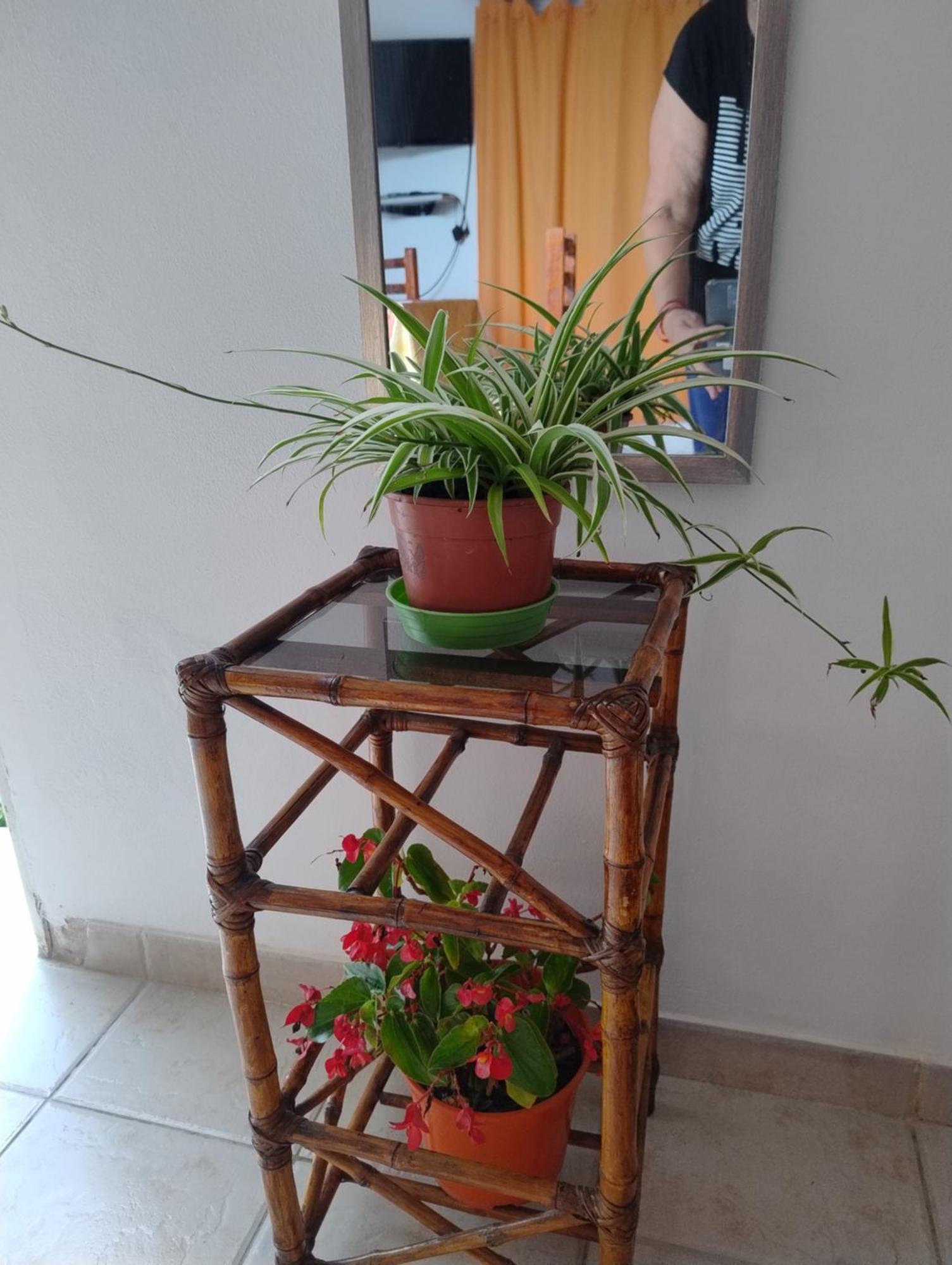 La Blanquita